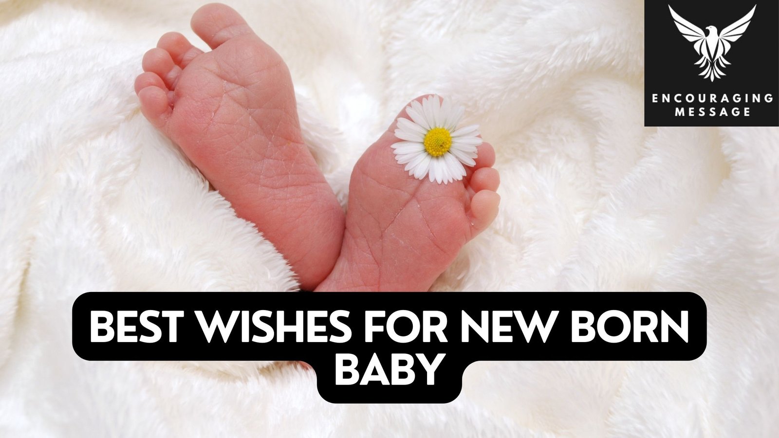 heartfelt congratulations and best wishes for new born baby is a timeless tradition that spans cultures and generations.