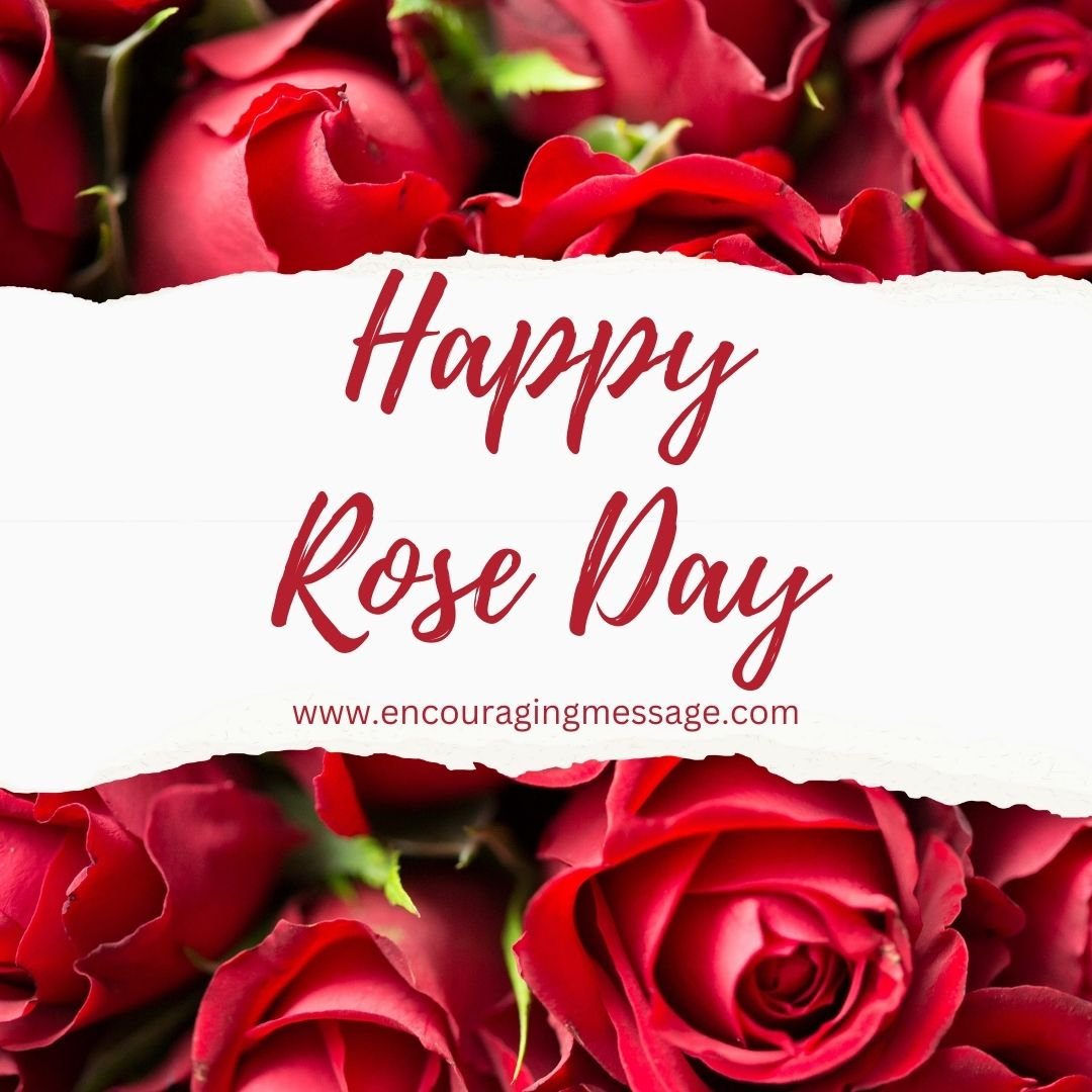 100 + Happy Rose Day Quotes On Rose Day 2024