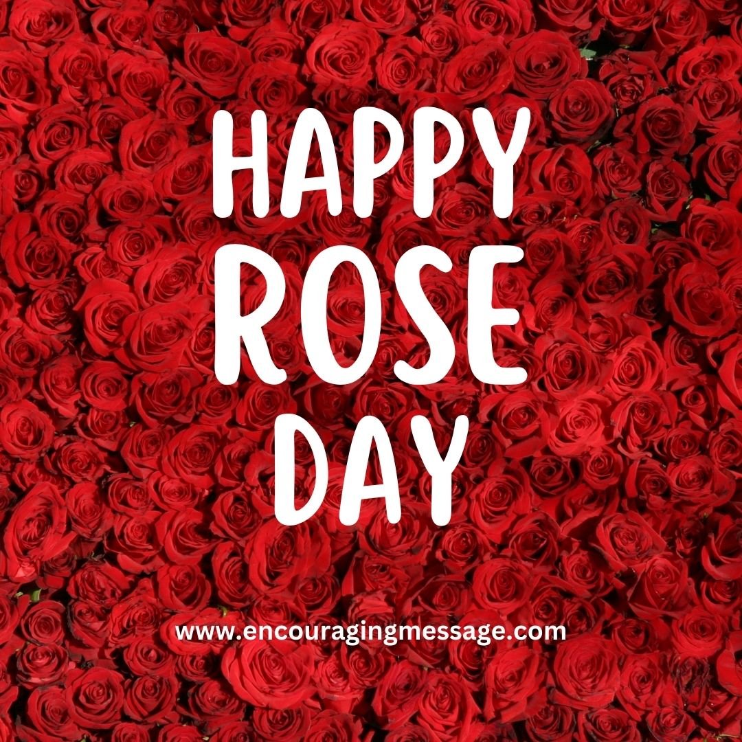 100 + Happy Rose Day Wishes For Rose Day 2024